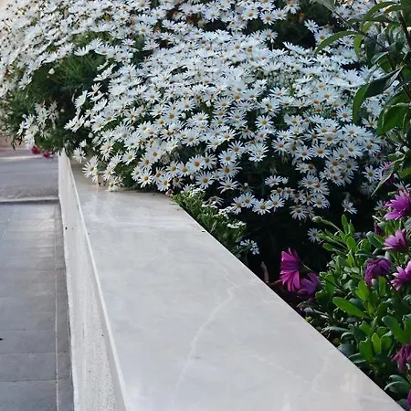 Konukevi Hvar De Luxe 3*